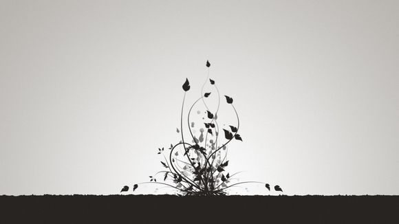 奥运吉祥物是什么动物