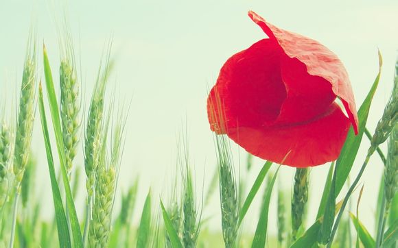 科比5个总冠军分别是哪几年