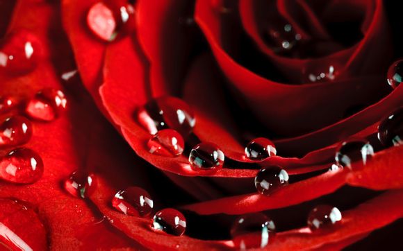 lol进游戏总是崩溃