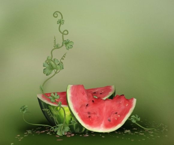 pursuit中文翻译