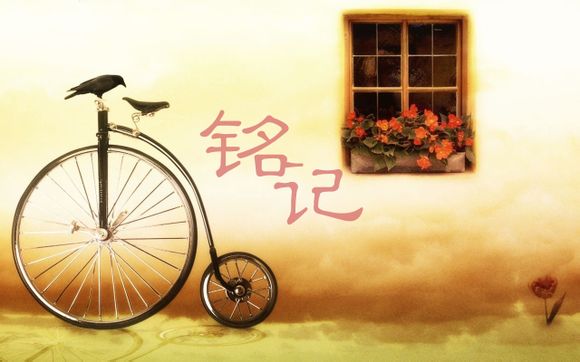 a3q235是什么材质
